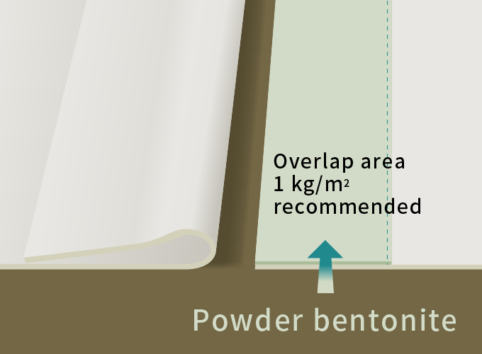 Apply the bentonite powder